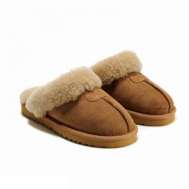 Мужские тапочки Coquette Slippers Коричневый — фото 1